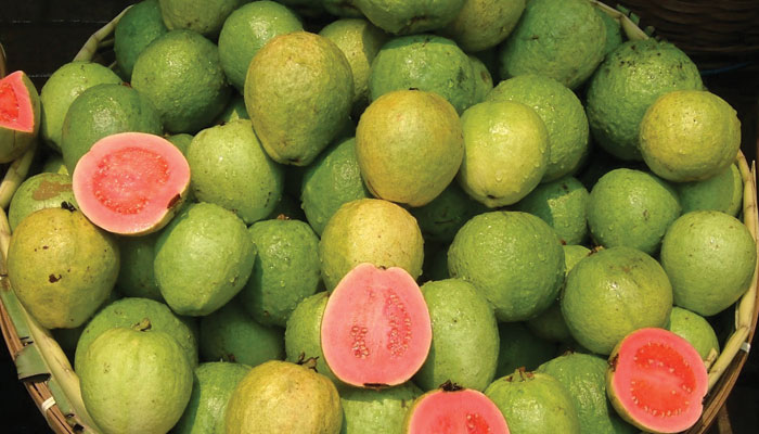 google guava
